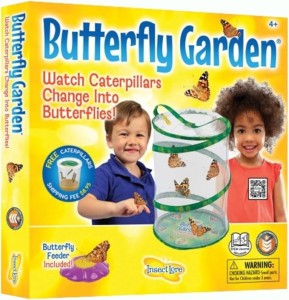 Painted Lady Butterfly Kit - Habitat, STEM Journal, & Voucher for Chrysalis Log & Caterpillars - Grow Your Own Butterfly Kit