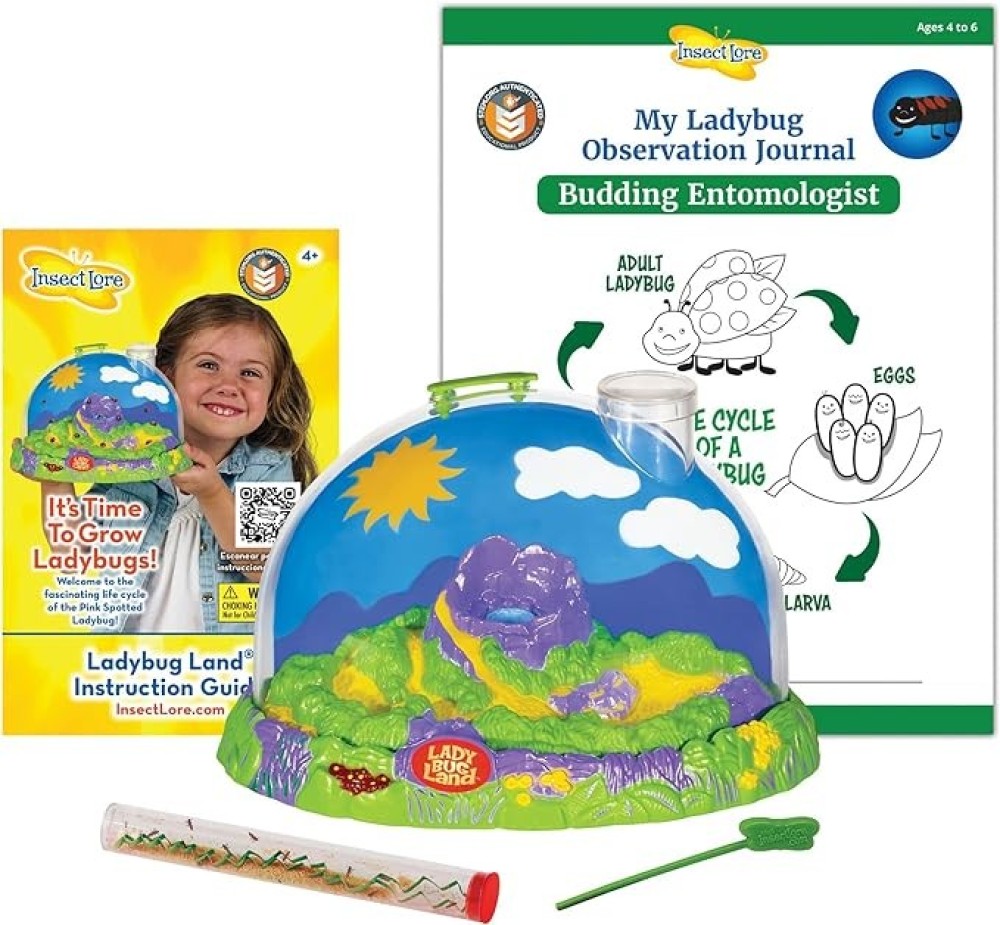 Insect Lore Live Ladybug Growing Kit Toy, Observation Skills