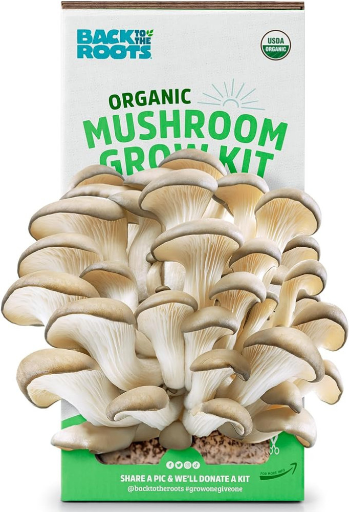 Back to the Roots Organic Mushroom Growing Kit. DIY Indoor Organic Oyster Mushroom Farm. Grow Edible Mushrooms at Home for Gourmet Cooking. Perfect Cooking Gift